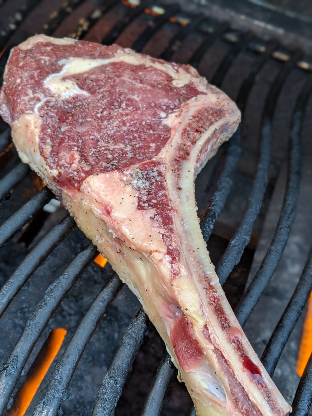 Longhorn Beef For Sale Cote Cattle Company